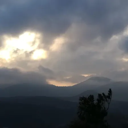 Luise Im Kuenstlerhaus * Langmuhle