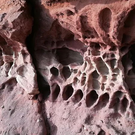 Luise Im Kuenstlerhaus *