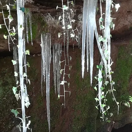 Luise Im Kuenstlerhaus Apartment *