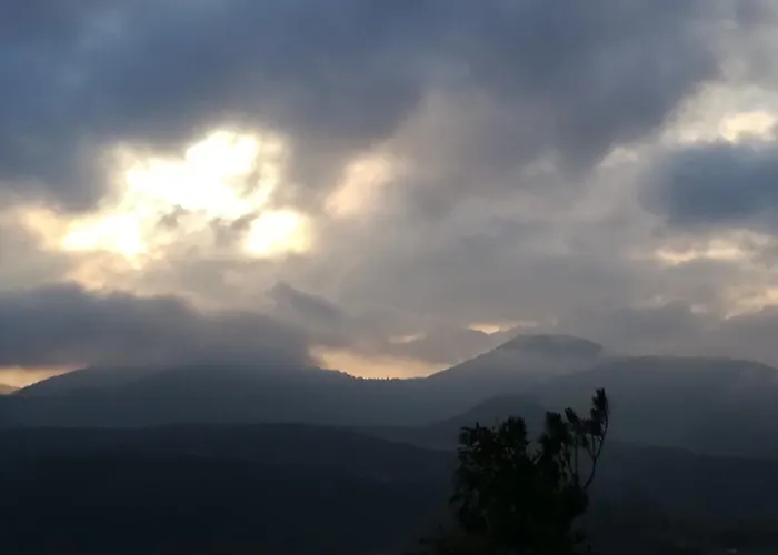 Luise Im Kuenstlerhaus * Langmuhle