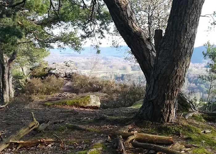 Apartmán Luise Im Kuenstlerhaus Langmuhle