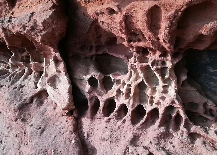 Luise Im Kuenstlerhaus *