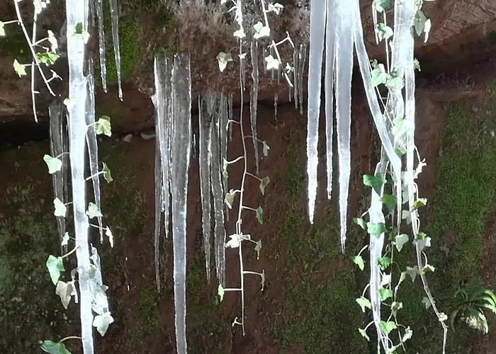 Luise Im Kuenstlerhaus Apartmán *